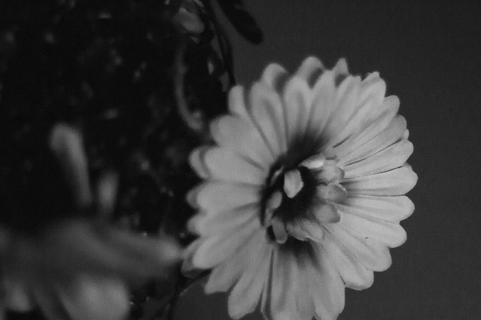 Photo: Francisco Alas