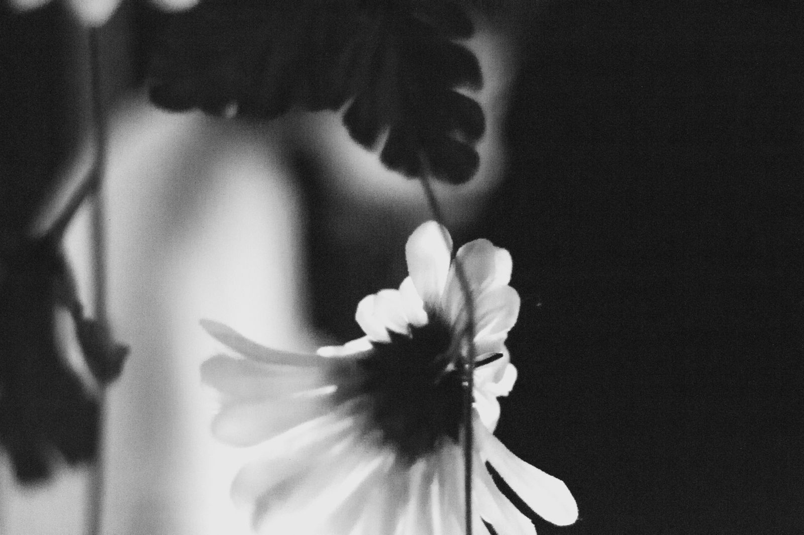 Photo: Francisco Alas