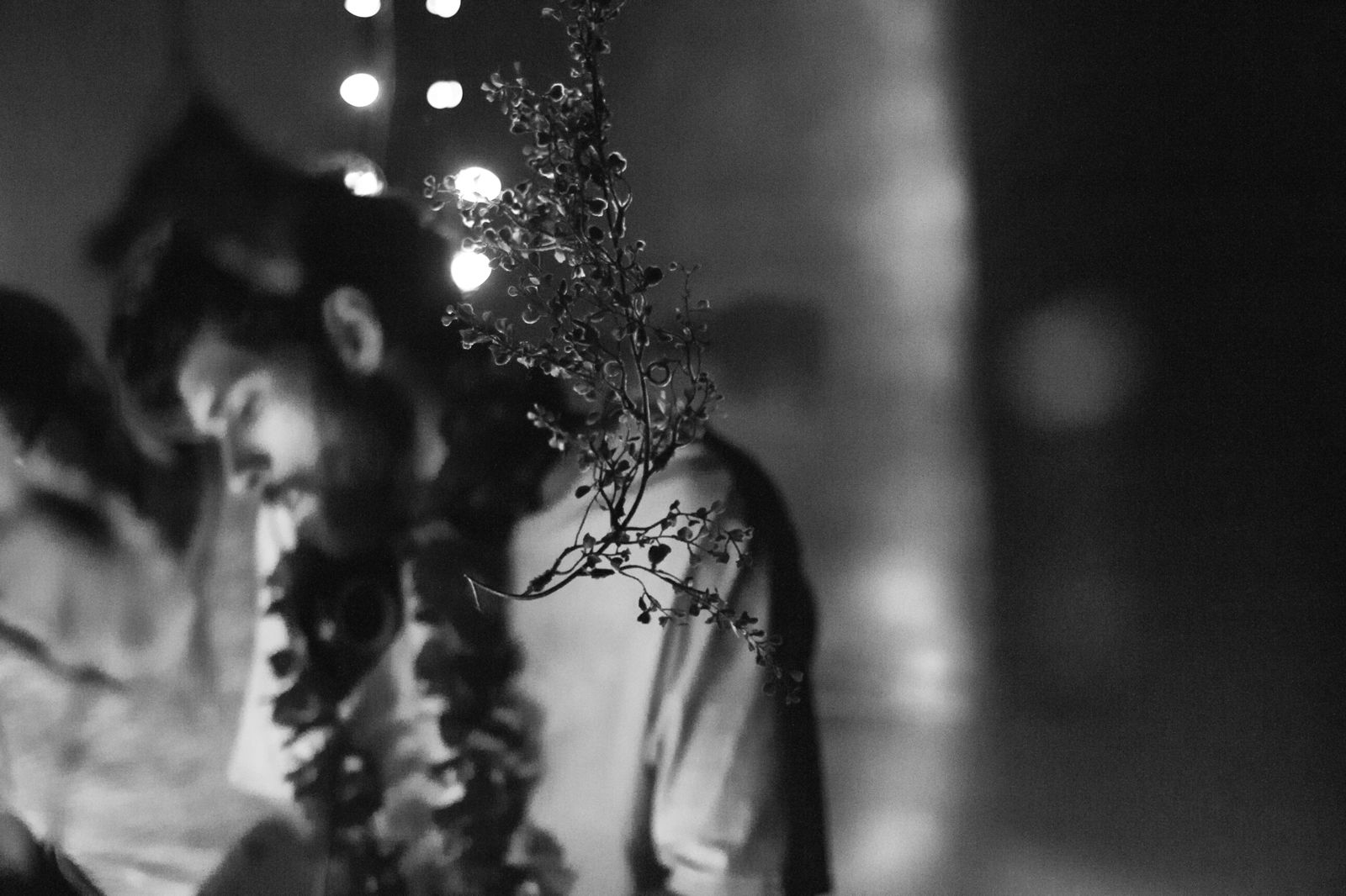 Photo: Francisco Alas