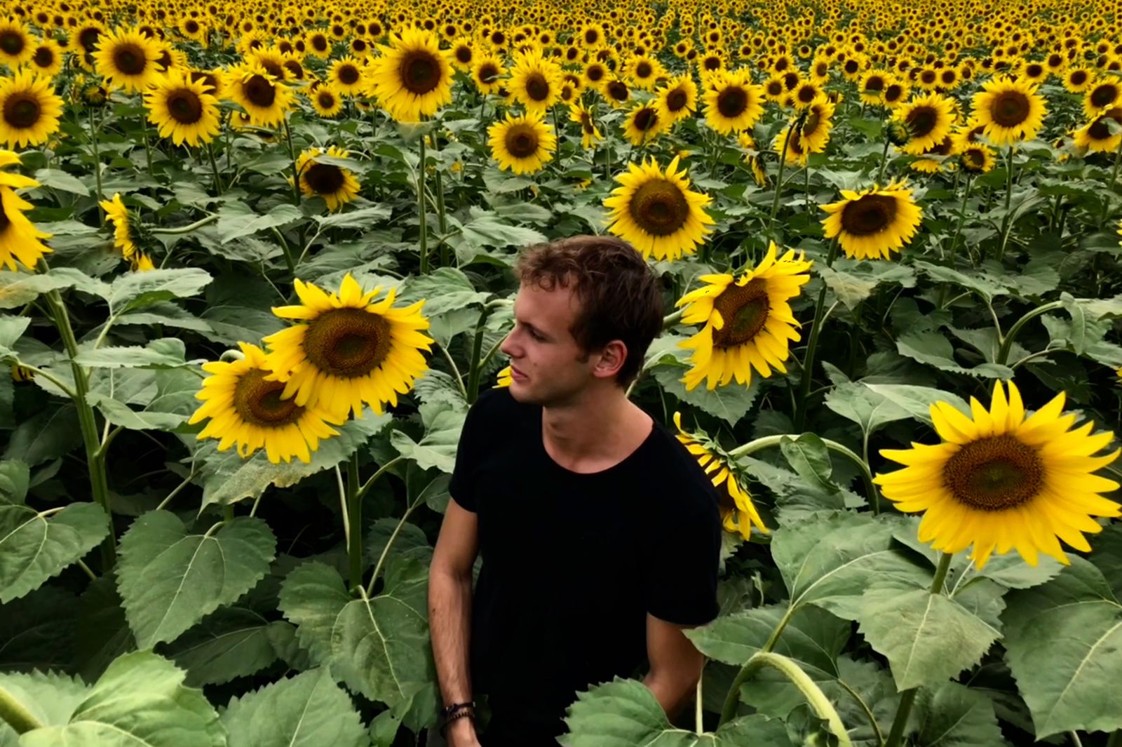 SIMON VUARAMBON ON ALL DAY I DREAM